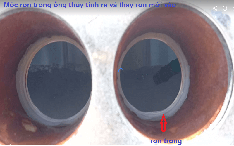 Móc ron trong ống thủy tinh ra
