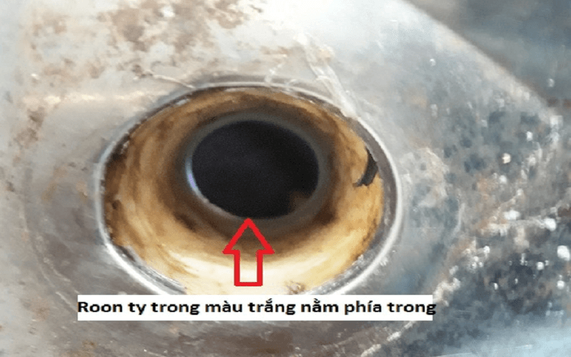 ron trong màu trắng