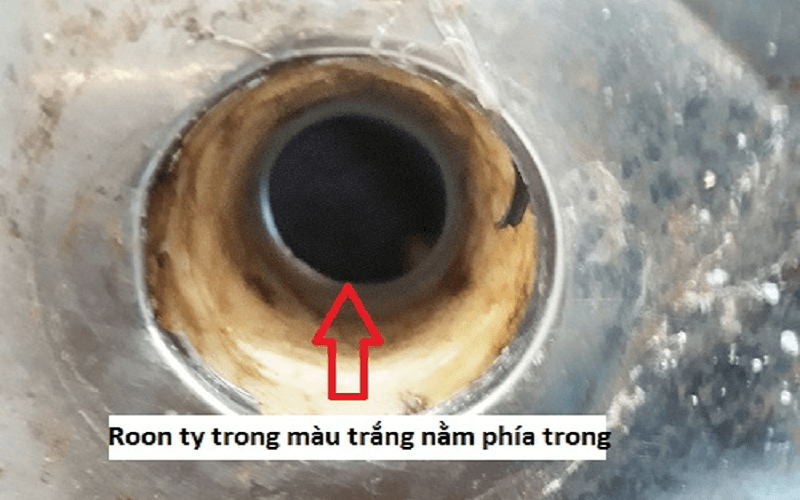 ron ty nằm phía trong bình